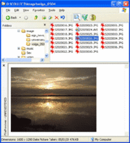 FilePreviewer screenshot